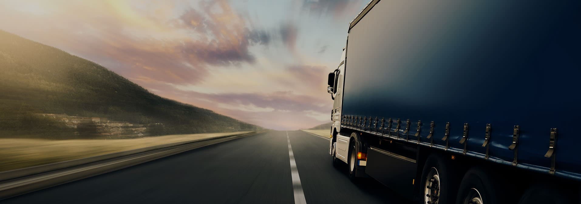 Optimize Your Storage Solutions